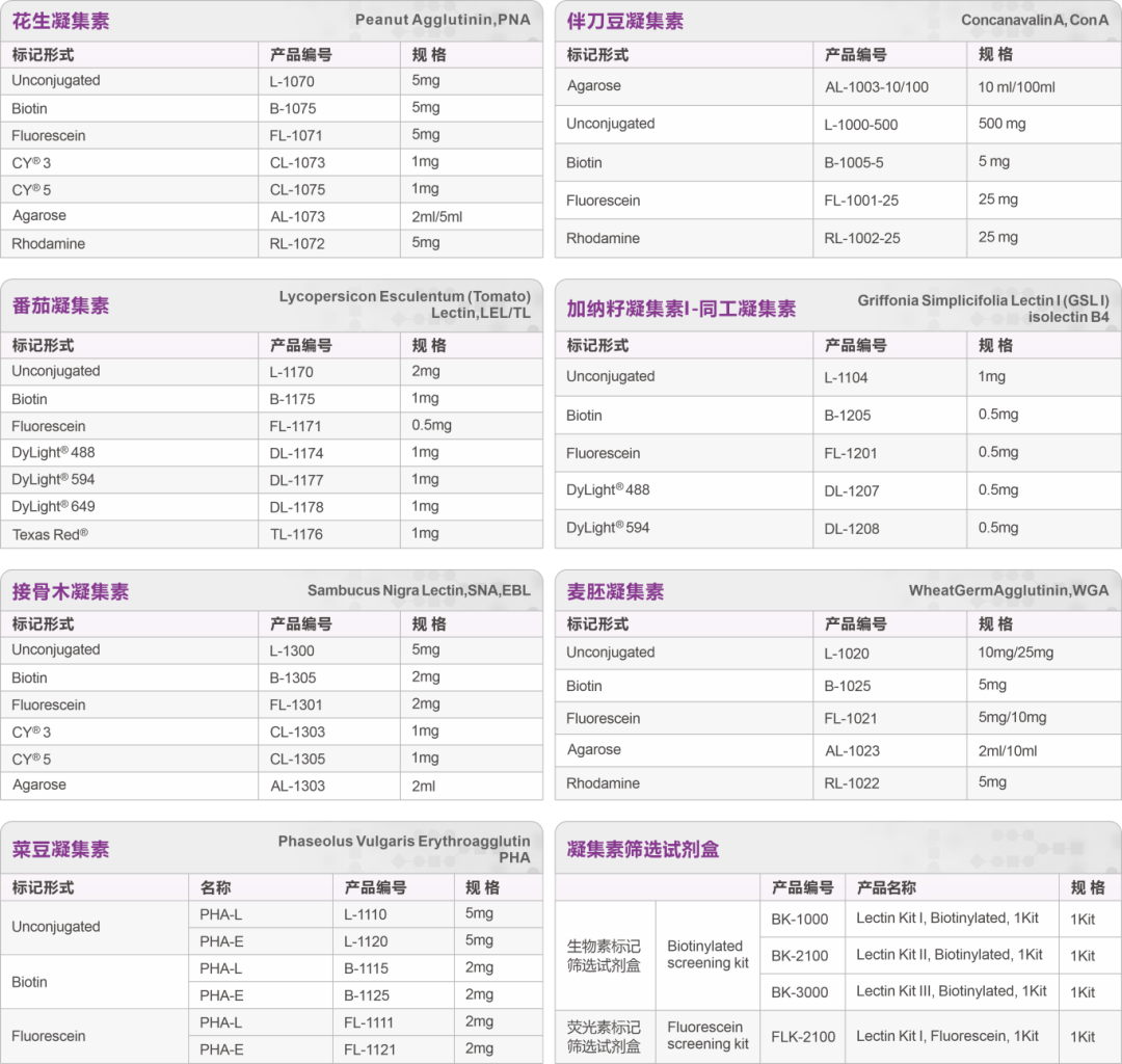 Vectorlabs 凝集素热销产品